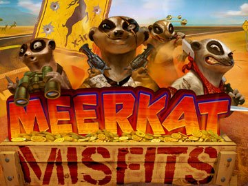 Meerkat Misfits