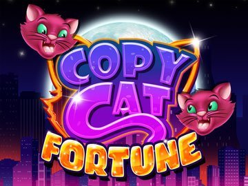 Copy Cat Fortune