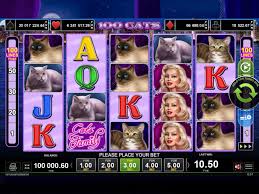 100 Cats